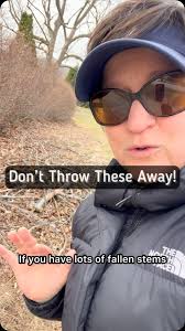 Did you know that so many pests in the garden can be controlled by  beneficial insects? Insects are often food for other insects. Aphids are  the most common garden pest and they are eaten by green lace ...