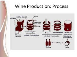 Wine Production