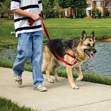 Easy Walk Harness No Pull Dog Harness