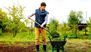 A wheel barrow is a great tool to use when transporting things like mulch or dirt from one location to another. Don T Have A Tractor Use That To Your Advantage Hobby Farms