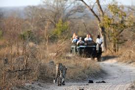 The Practical A To Z Guide To Going On Safari Africa Freak