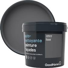 Peinture Facade Autonettoyante Premium Oakland 5 L Brico Depot