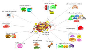 Alamat ip yang satu ini sangat lah unik ya, karena sesuai namanya alamat ip ini bisa sobat 111.90.l50.204 sma. Prophylactic And Therapeutic Roles Of Oleanolic Acid And Its Derivatives In Several Diseases