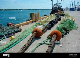 Image result for trawling