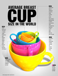 Average Breast Cup Size Around The World Infographic
