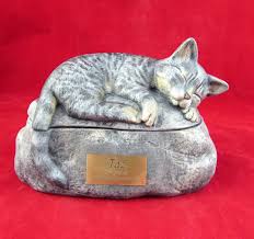Ceramic Engraved Painted Cat Cremation Urn With Plastic Name Plate Hand Made Pet Urn Pet Urns Cat Urns Custom Pet Memorials