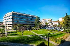 5 está compuesta por 24 iglesias sui iuris: Catholic University Of Portugal Wikiwand