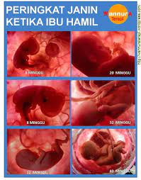 Check spelling or type a new query. 13 Amalan Pemakanan Penting Bagi Ibu Mengandung