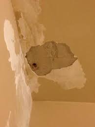 We did not find results for: Im Repairing A Bedroom Ceiling That Had Some Water Damage From Rain Water Ive Just Had A New Roof Installed So The W Diy Garland Paper Flower Garlands Garland