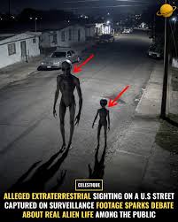 A California resident's quest for clarity on what she captured on her  doorbell camera widely circulated on social media and has the public asking  – are there aliens in Compton? An 11-second