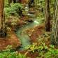 Creative Photography Workshop at Jack London State Historic Park
