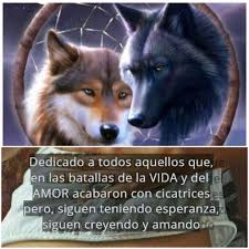 Pin De Fenrir De Alioth Tostado En Lobos Frases Frases Bonitas De Motivacion Frases De Lobos Frases Bonitas