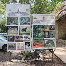 Image result for Burttdavya