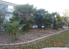 Start studying ielts speaking part 1: Small Taste Of Virginia Beach