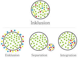 Real Definition Of Inclusion Inclusion Classroom Inclusive Education Iep