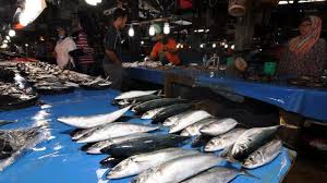 Seluruh warga kerja lembaga kemajuan ikan malaysia menzahirkan salam takziah buat keluarga adalah dimaklumkan ibu pejabat lembaga kemajuan ikan malaysia (lkim) akan 40,000 nelayan bakal dicarumkan bawah sksps. Menteri Susi Bikin Harga Ikan Di Singapura Malaysia Mahal Bisnis Liputan6 Com