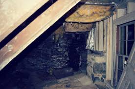 When we smell this gas in homes, many times it's caused by a small problem, such as a dried out. Guide To Bad Basement Smells Networx