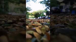 Alinscartoon.blogspot.com pemandangan kartun foto dunia alam semesta indonesia. 10km Trail Via Pelangi Indah Youtube