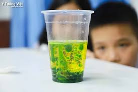 Nhật ký lớp Bán trú