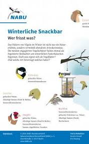 Experte Rat Vogel Im Garten Ganzjahrig Futtern In 2020 Vogel Im Garten Vogel Im Winter Insektenhotel