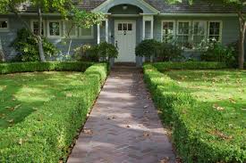 Check spelling or type a new query. All About Planting Hedges Diy True Value Projects
