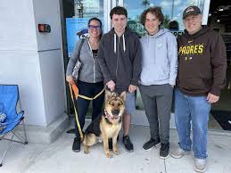 German Shepherd Rescue of Orange County