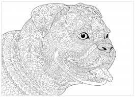 Free bulldog coloring pages to print for kids. Free Book Bulldog 2 Dogs Adult Coloring Pages