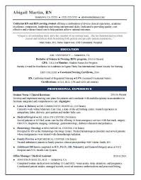 Student resume template, examples and writing tips. Nursing Student Resume Sample Monster Com