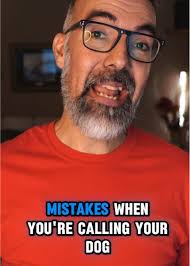 Recalls are one of those essentials skills that every dog should have.  There are are many ways to train it too. But, you could be making some  critical mistakes and these 4 are at the top of my list. ...