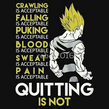 Fans have watched him progress from a major villain, to an antihero, and finally to a bonafide good guy and dedicated 15+ best dragon ball, z, gt, super quotes (images) 11 nov. Pin By Clint Ammenhauser On Vegeta Dragon Ball Anime Dragon Ball Super Anime Dragon Ball