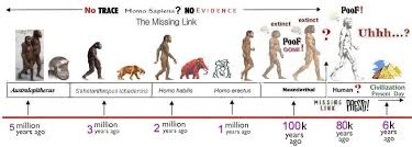 Animal Evolution Timeline Chart 2019