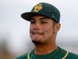 Baseball: Burlington Central's Payton continues tear with 8 RBI in win over  Crystal Lake South