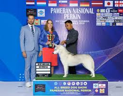 Pameran Nasional All Breed Dog Show (23