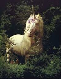 Todos los juegos de juegos de vestir y moda. 21 Ideas De Unicornios Reales Unicornios Reales Fotos De Unicornios Imagenes De Unicornios