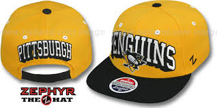 New Era Cheap Hats Free Shipping New Era Penguins 2t