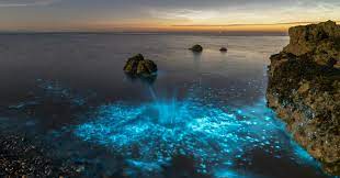 Bioluminescencia Onde Encontrar Praias Paradisiacas Que Brilham No Escuro
