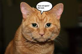Some images are hidden because they can no longer be found or have been removed by the file host. 2500x1666 Pc Laptop Cool Animal Wallpapers Wallpapers Cool Backgrounds Of Animals 2500x1666 Wallpaper Teahub Io