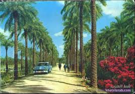 ابو الخصيب Historical Pictures Country Roads Pictures
