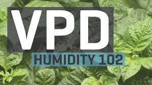 Vapor Pressure Deficit The Hidden Force On Your Plants