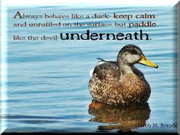 What does the 'like water off a duck's back' phrase mean? Quotes About Ducks 136 Quotes