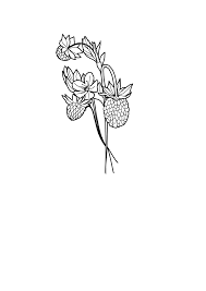 Pin By Sonia Kowacka On Line Work Tattoo Designs Anna Tattoos Line Work Tattoo Cute Cats Tattoo Designs