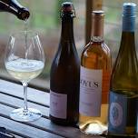 Sip & Savor: Ritual & Rest