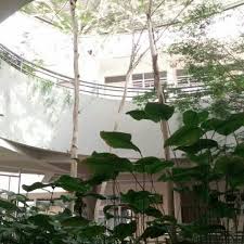 Methodist college kuala lumpur address : 2nd Floor Agora Mckl Brickfields Kuala Lumpur Kuala Lumpur