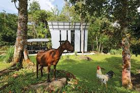 Impian country resort jalan taman agroteknologi sg semungkis bt 14 1/2 43100 hulu langat selangor malaysia call us! Retreat Into Nature In Hulu Langat