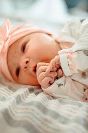 Bailey Thompson Photography