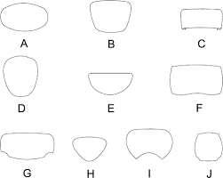 Image result for Embelia welwitschii