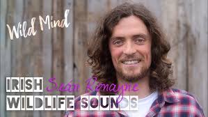 EXPLORE RTÉ: The Music