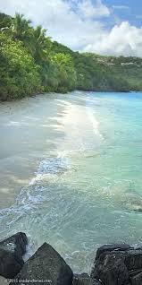 Maybe you would like to learn more about one of these? With Trunk And Cinnamon Garnering Most Of The Attention It S Easy To Overlook This Little Gem As I Paradise Pictures Beautiful Places Nature Beautiful Beaches