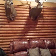 Located at the base of flagge mountain, deer lodge is 1/2 block off of main street. Hotel Deer Mountain Lodge Wilderness Resort United States Of America At Hrs With Free Services