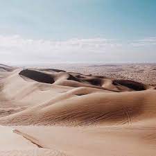 desert natura vintage
